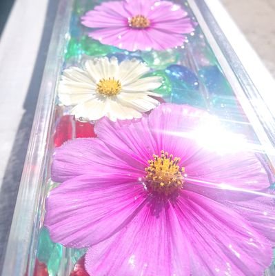 kamaef's profile picture. 好きなもの
舞台 スパイスカレー 焚き火 リンバ ムビラ　ひょリンバ　 銭湯 甘いもの 旨辛なもの など。

お仕事
演出助手 舞台照明 ビスケットファシリテーター ワークショップデザイナー(WSD)など。