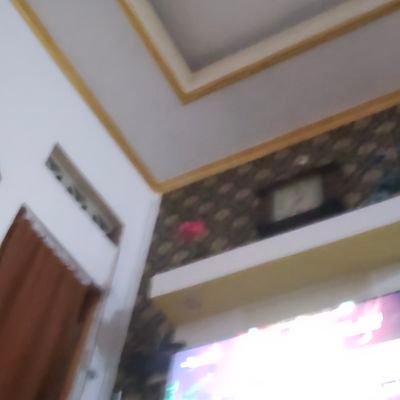 luckyje4's profile picture. 
