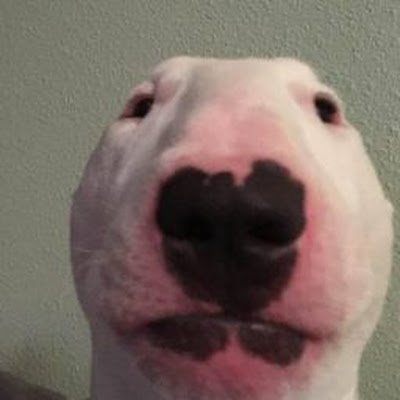 xnnthwhmunthn1's profile picture. 18 yr grad 2025.