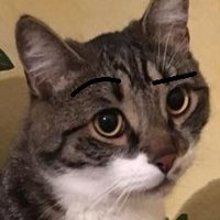 Martin (@ratinfx) 's Twitter Profile Photo Martin (@ratinfx) 's Twitter Profile Photo