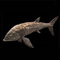 leedsichthys (@leedsichthys150) 's Twitter Profile Photo leedsichthys (@leedsichthys150) 's Twitter Profile Photo