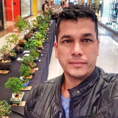 Bonsai Art - Mbo'ehára. Teacher - Libros publicados: Alicia en el país de las Maravillas en formato trilingüe y El Lazarillo de Tormes en guarani