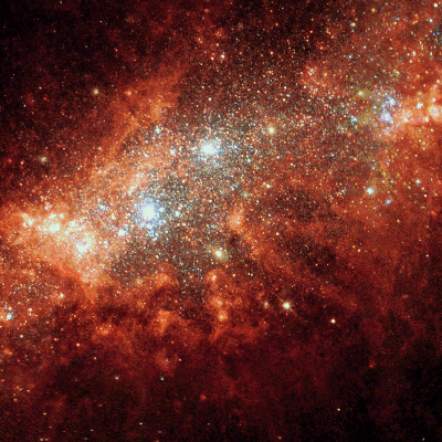 CocoaGalaxy's profile picture. 