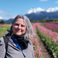 Carolina Vera (@carovera_ar) 's Twitter Profile Photo Carolina Vera (@carovera_ar) 's Twitter Profile Photo