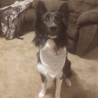 heather (@heatherwil2010) 's Twitter Profile
