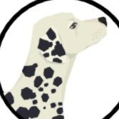 MyPracticalPan1's profile picture. My Practical Pantry is the store for all of your kitchen needs. Whether you're cooking cleaning or organizing, we've got every tool you'll ever need!