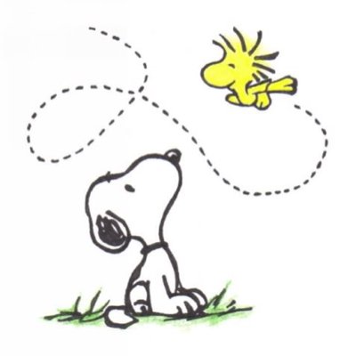 benchwarmerdan's profile picture. i like basketball