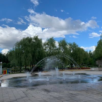 Biou0817's profile picture. 