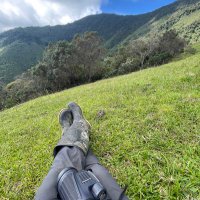 Paula Saravia (@paulasr13) 's Twitter Profile