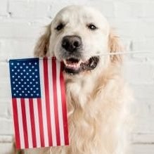 The Official Account of Furriends for Ron DeSantis for President 2024. Support from all Paw-litical Paw-ties welcome. DM us your photos. WOOF! 🇺🇸