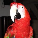 Katie Whelan - @msbirdz - Twitter