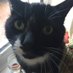 Mystic Queen of Maybe (Jan) & Teddy 🐈⬛ (@of_maybe) Twitter profile photo Mystic Queen of Maybe (Jan) & Teddy 🐈⬛ (@of_maybe) Twitter profile photo