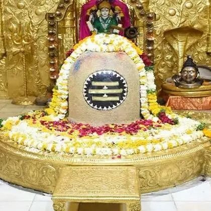 manishmadhup's profile picture. mindless thinker