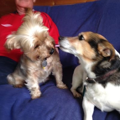 Former Senior Epilepsy Adviser, Epilepsy Action. Retired. NHS volunteer. @katybarstool.bsky.social