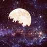 Starrynight3335's profile picture. 