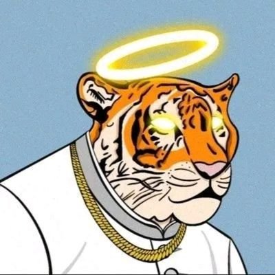 nftdesign11's profile picture. I'm professional video editor , I have a big expérience in graphique design