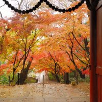tak31 (@takaji31) 's Twitter Profile