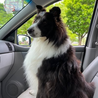 1jeff_57's profile picture. 
