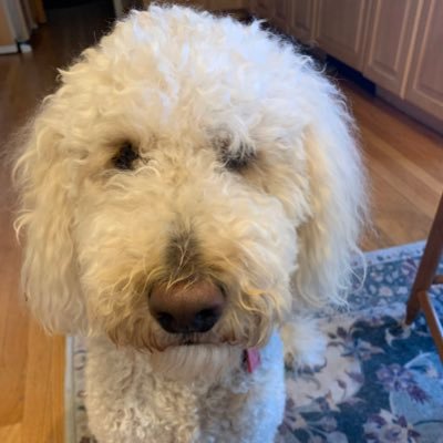 mei1_o's profile picture. 