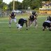 Luca Mazzeo (@bulldozer_62) Twitter profile photo Luca Mazzeo (@bulldozer_62) Twitter profile photo