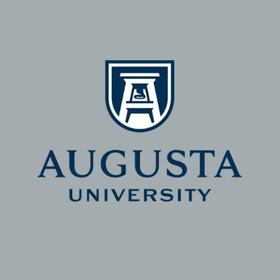 We are designed to establish a comprehensive plan and strategy for hiring and advancing underrepresented faculty at Augusta University.