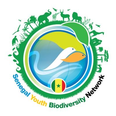 National Chapter of @GYBN_CBD.  Bringing the voices of Senegalese Youth to Biodiversity policy arenas🌱.
Contact: senegalybn@gmail.com
#GybnSenegal