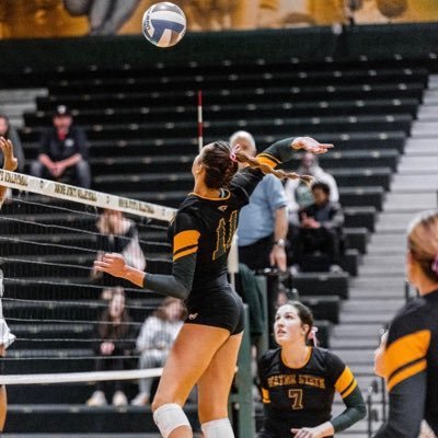 wayne state vball