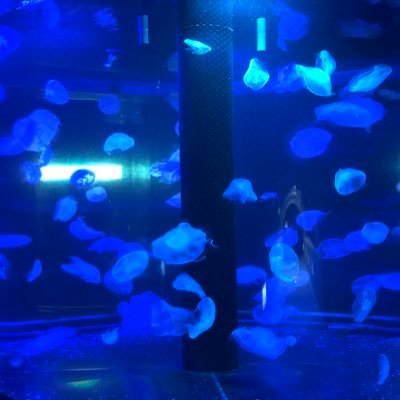 M43vrZVSvTTQRbP's profile picture. 