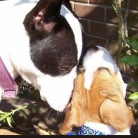 Jane (@janeconrep) 's Twitter Profile