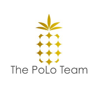 Jeffrey Polster - The PoLo Team, Naperville, IL