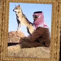 عيد عاتق المحمدي الحربي (@qn_y8) 's Twitter Profile