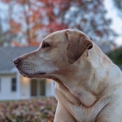 Fuck Elon Musk, find me on bsky.
https://t.co/8V9JMr7Av3