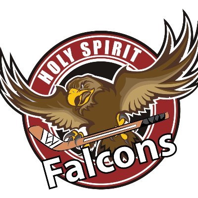 Falcons Hockey