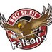 Falcons Hockey (@HSFalconHockey) Twitter profile photo