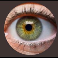 Gloria 🚩🩺🏥⚕️🚩⛑🧑🏼⚕️🩺 (@ggmarialula) 's Twitter Profile