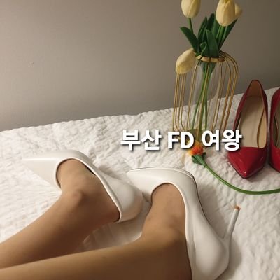 💋부산 FD 여왕님 30대 /168/D/48/
멜섭 펨섭 CD 컴온💋
⭐메인확인🌟양식필수 🖕예의필수