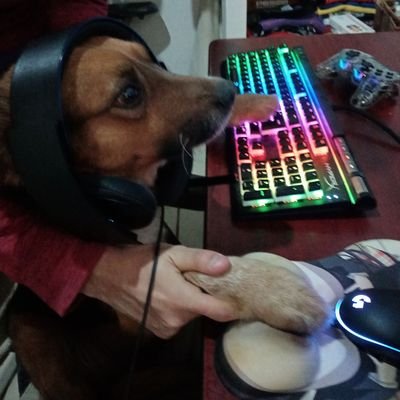 RedNova555's profile picture. A casual Skullgirls player
