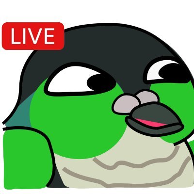 EcurveUpdates's profile picture. 