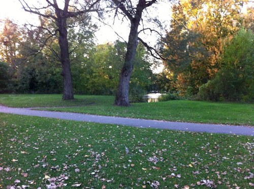 DontblameA's profile picture. KSA