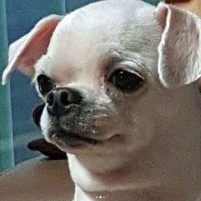 sehos111's profile picture. 