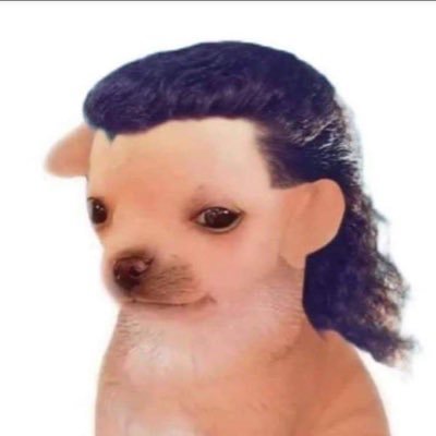 EliCheoGar's profile picture. 