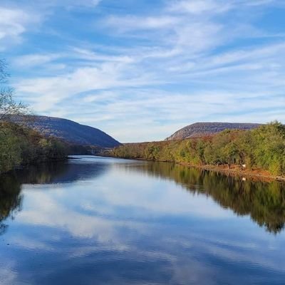 BorntoStroll's profile picture. 