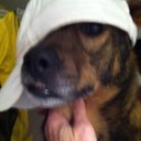 ChrisElmer - @ChrisElmer - Twitter