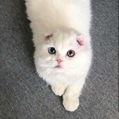 sarahageng's profile picture. 