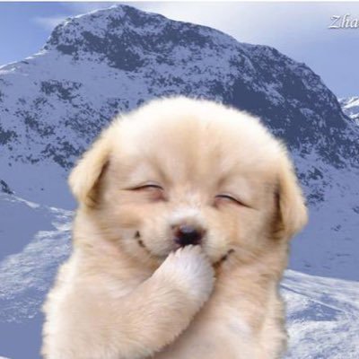 crnxznn's profile picture. 