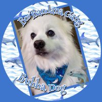 Jeremy - Bubba Dog & Cocoa (@gigemjd) 's Twitter Profile