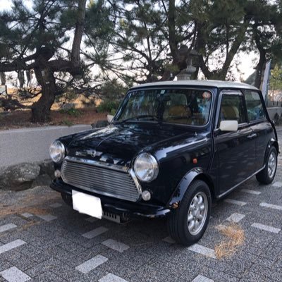 hana_maru32's profile picture. '96ローバーミニメイフェア リーフブルー