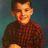 dan_kretzmer's profile image