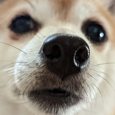 象