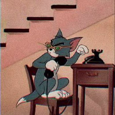 kevinqu74058987's profile picture. 